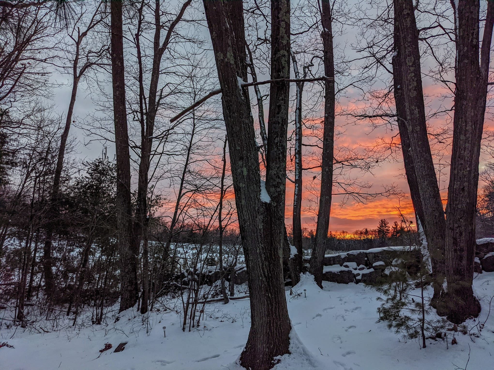 Winter sunset over Meadow Brook Conservation Area